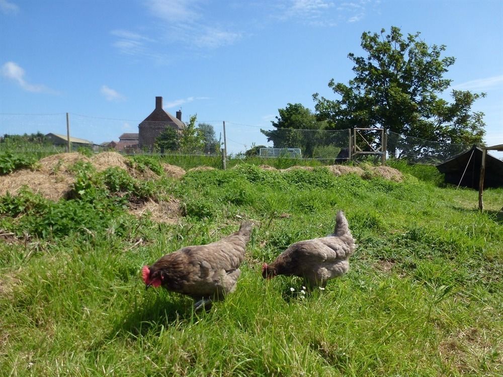 Manor Farm Stay Sutton-on-Sea ภายนอก รูปภาพ