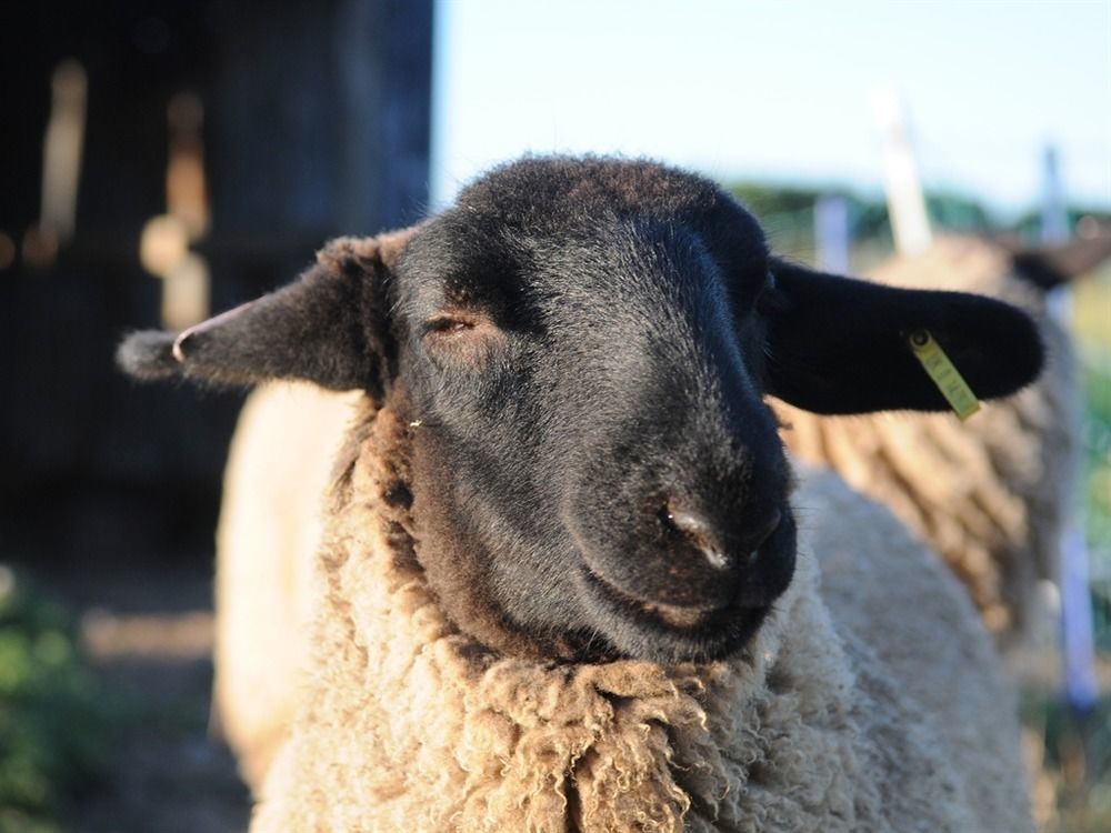 Manor Farm Stay Sutton-on-Sea ภายนอก รูปภาพ